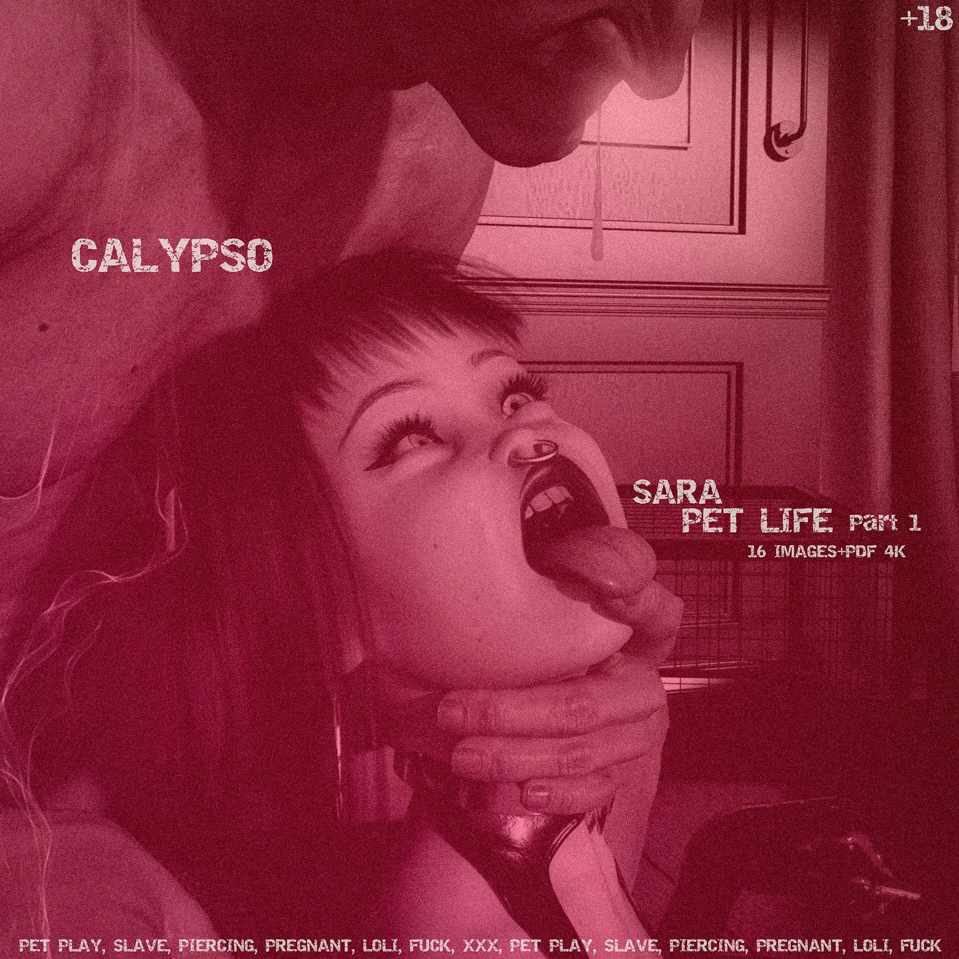 [Calypso]Sara Pet Life