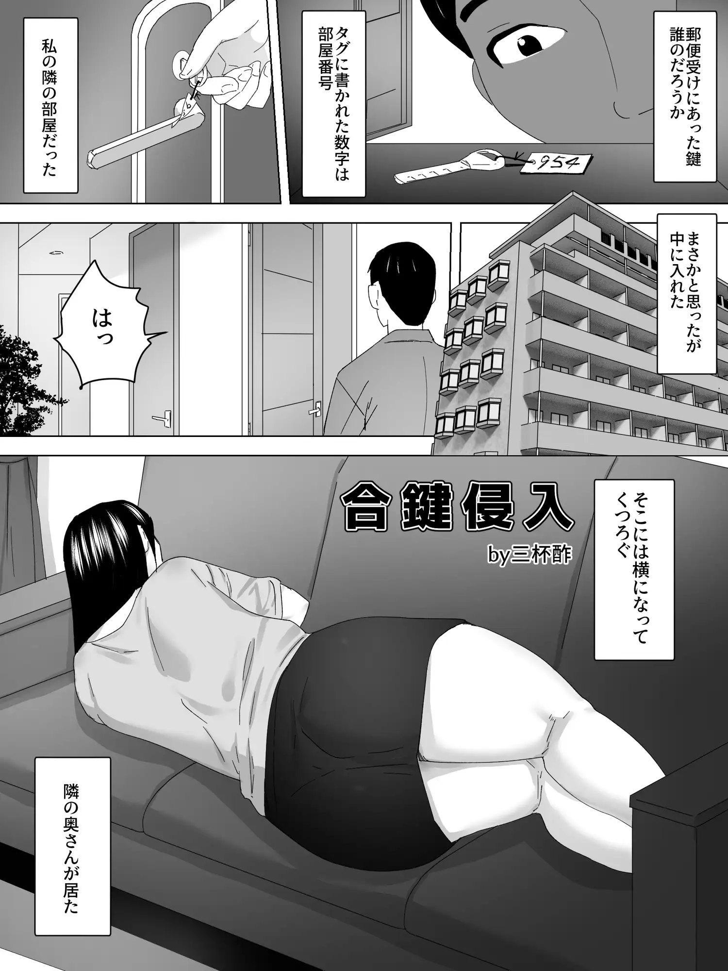 [三杯酢]合鍵侵入ー眠る女ー