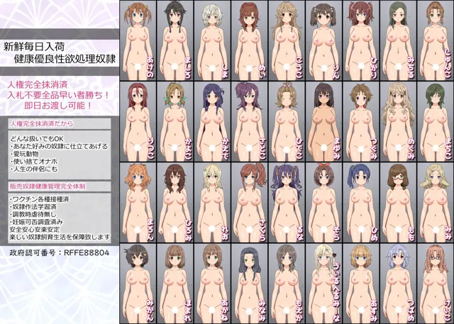 [しらき電画]27人のパイパンヌードの女の子を視姦したい人向けのCG集HSF