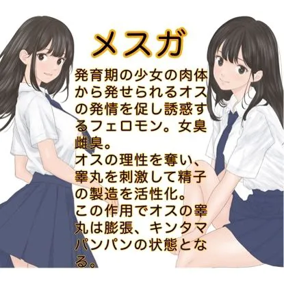 [カスおじ妄想劇場]発育期まっ盛りの女子の放つ性徴ホルモンドッバドバの雌臭（メスガ）にやられてキンタマパンパンになっちゃうお話