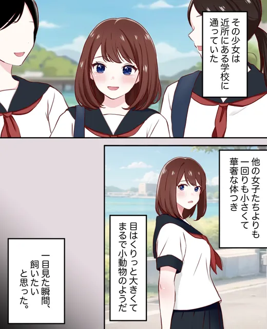 [りすとまろん]監禁少女を快楽調教して性奴●にするまでの記録