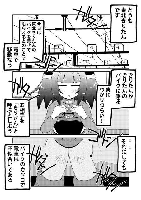 [だしおっと]バイカロイズW