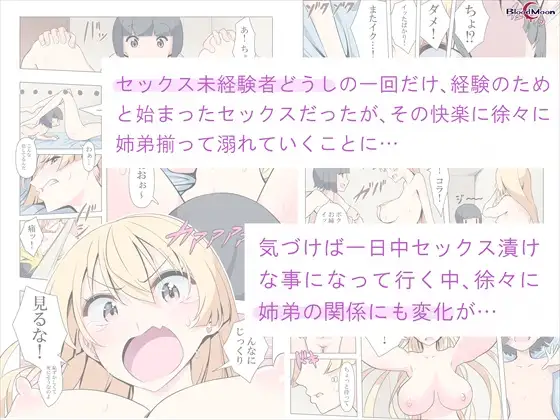 [Blood moon]お姉ちゃんお願い!1回でいいからセックスさせて!