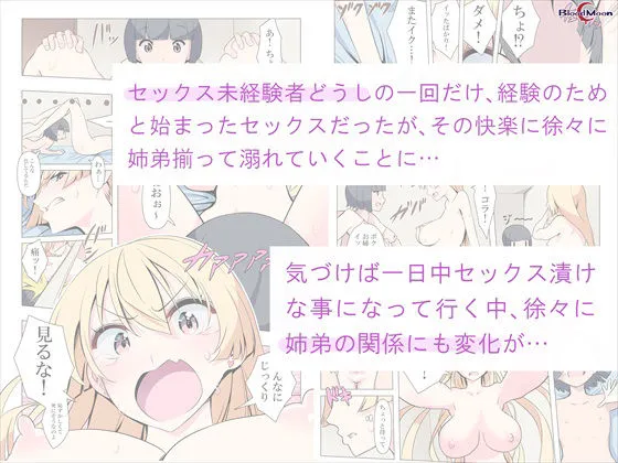 [Blood moon]お姉ちゃんお願い！1回でいいからセックスさせて！