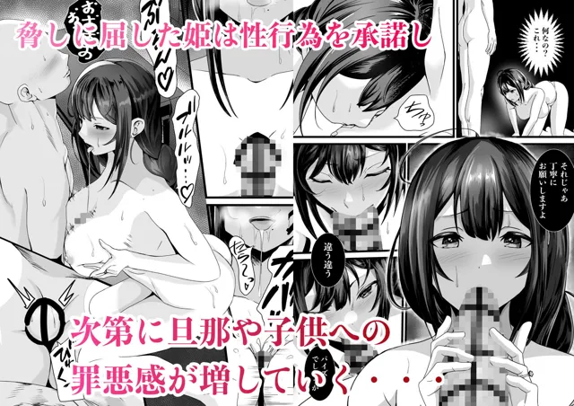 [八メガ]童貞オタ・・・ゲームで出会った人妻（姫）を寝取って中出しに成功する