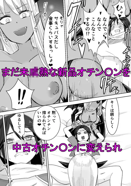 [ぱ〜みっしょん]サキュバスに敗北してち〇ちゃな貞操帯を付けられちゃうお話