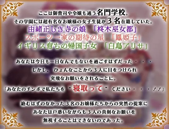 [脳汁ドロップ]学園のご令嬢3人娘は婚約者と別れるために貴方の子どもを孕みたい【お願いNTR】