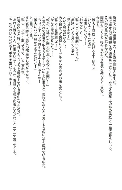 [さのぞう]【お気軽小説】色仕掛けをするあざとい義姉の策略に乗ったら両想いになったけど予想以上にエロかった