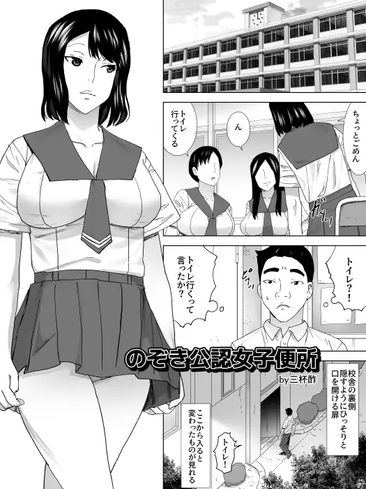 [三杯酢]のぞき公認女子便所