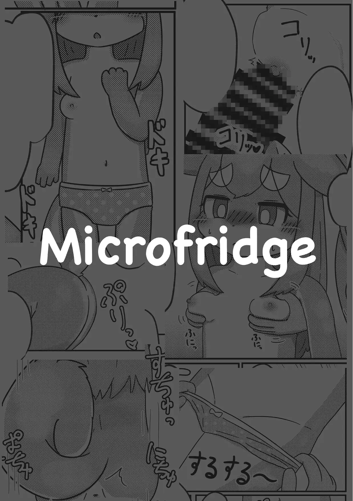 [Microfridge]ないしょにしてください