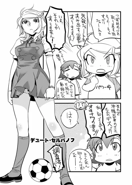 [大空書院]ざっくりマイぼーる！2