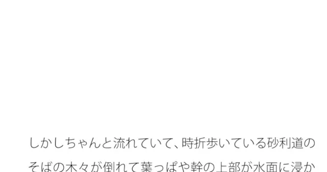 [サマールンルン]横に海が流れる砂利道と木々