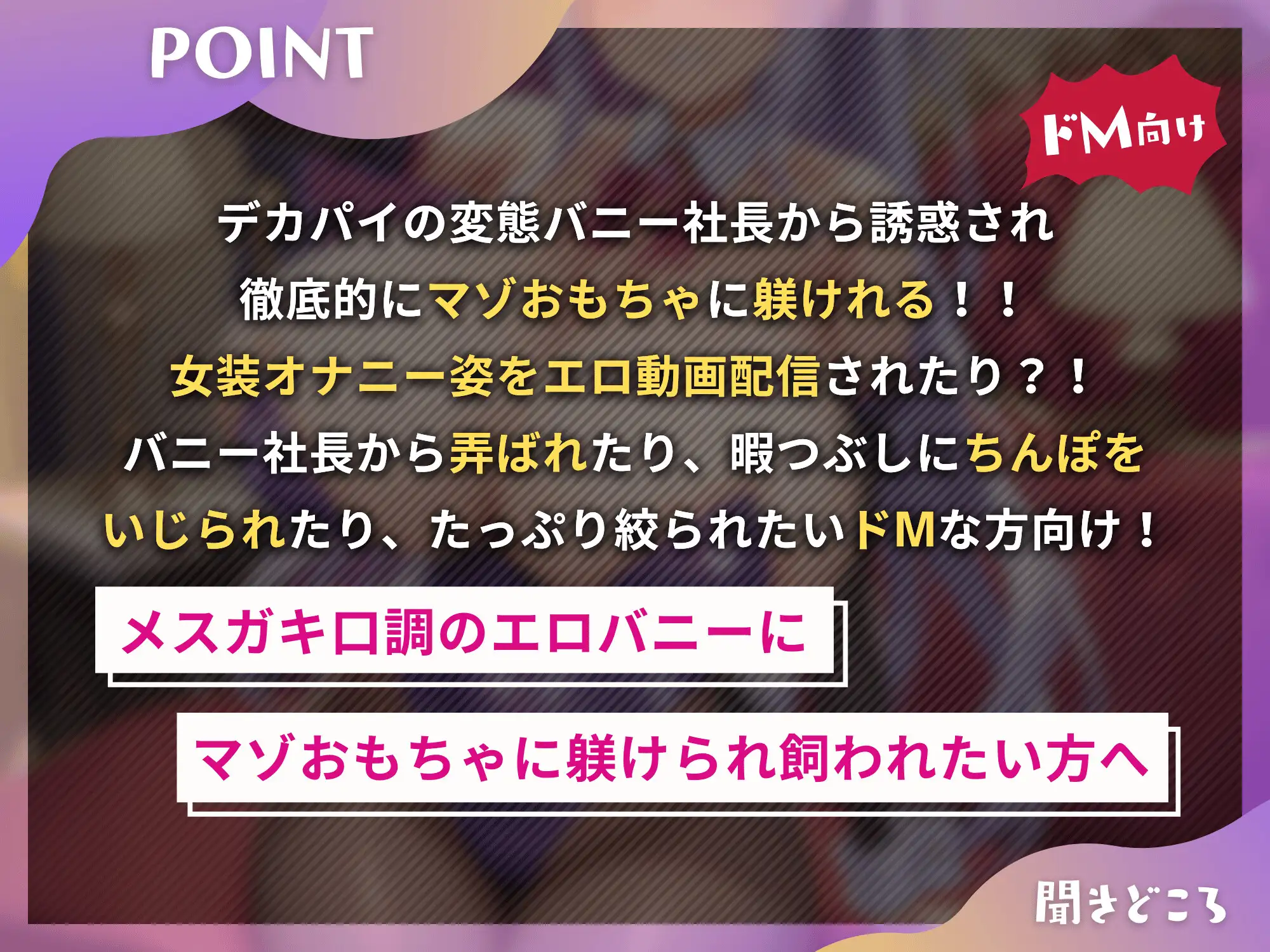 [ドM騎士団]お嬢様バニー社長のマゾおもちゃ躾け～アンタはワタシの暇つぶし用のマゾおもちゃでいなさい～【ドM向け】【KU100】