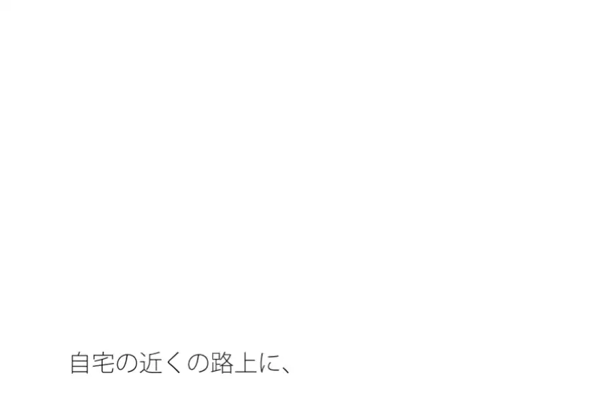 [サマールンルン]たまに尖っている路上の石ころ どのように咀嚼(そしゃく)をして