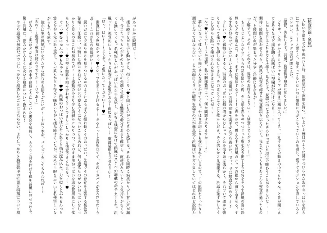 [エリア流]駆逐艦胸部装甲検査