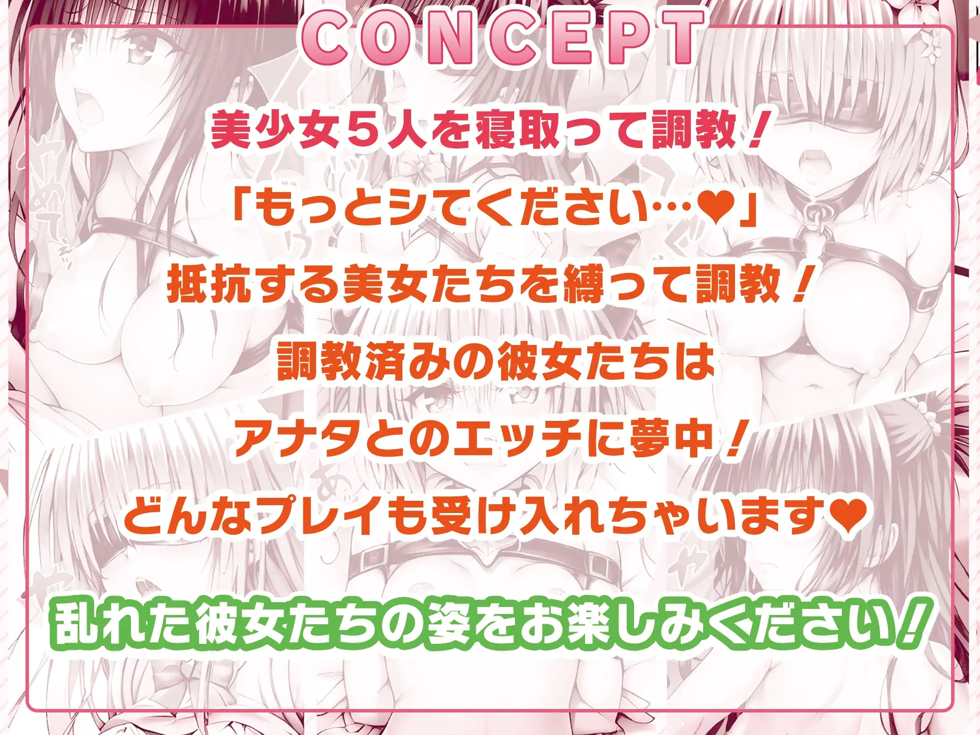 [桃色ぱれっと]【アニメ】寝取り調教で全員完堕ち