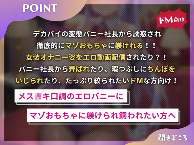 [ドM騎士団]お嬢様バニー社長のマゾおもちゃ躾け〜アンタはワタシの暇つぶし用のマゾおもちゃでいなさい〜【ドM向け】【KU100】