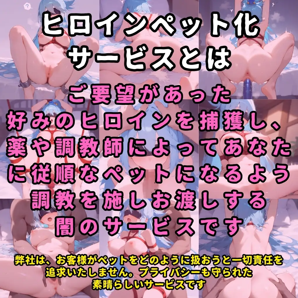 [ハルシネーションクラブ]ヒロインペット化調教ドキュメンタリー【某素晴らしい世界/ア●ア編】〜ヒロインが拉致され調教師にイカされまくって御主人様の元に出荷されるまで〜