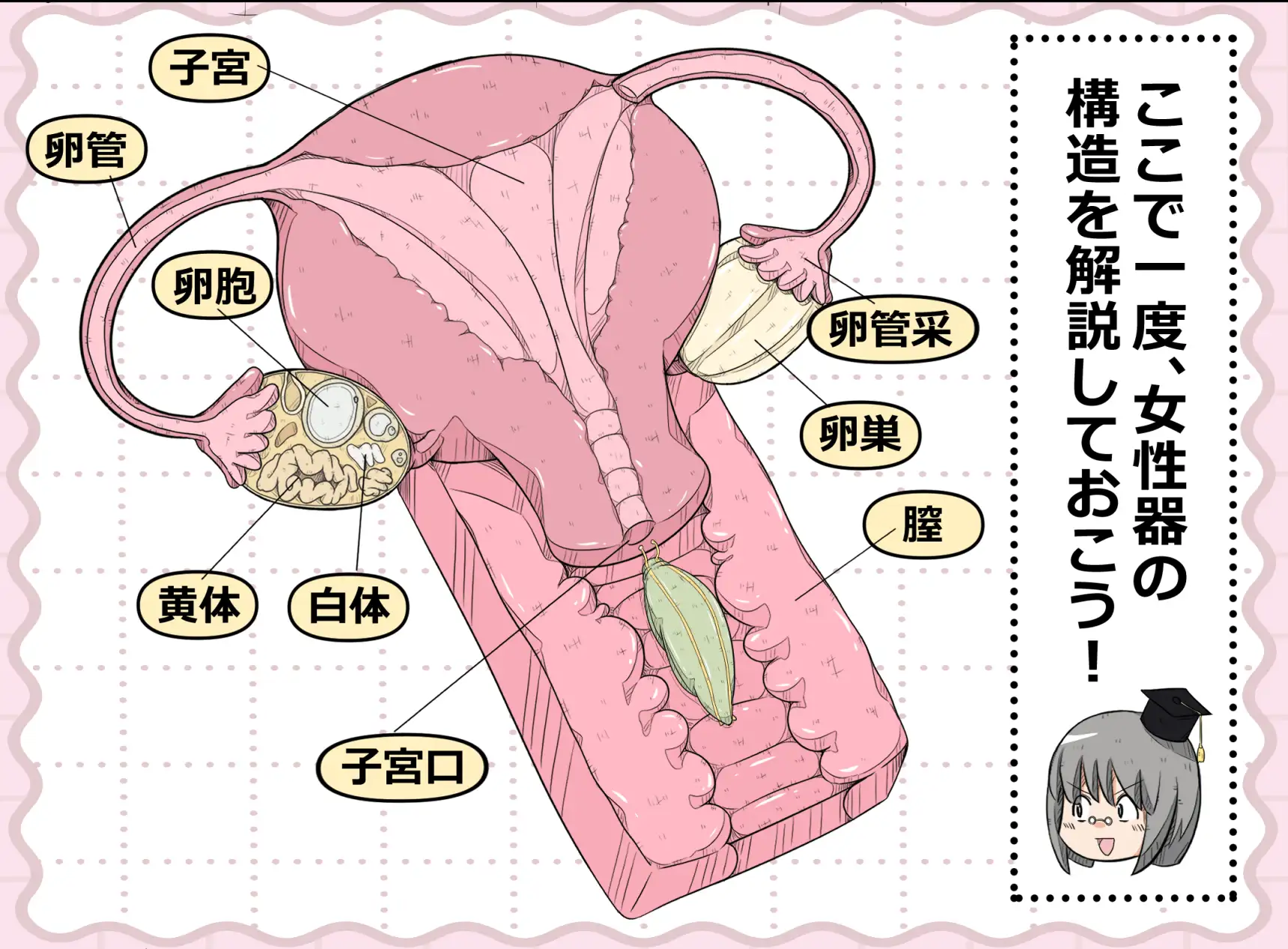 [ナンサークル]卵巣快楽研究部～卵巣我慢大会勃発!の巻き～