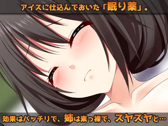 [同人美少女ゲーム]睡眠○～お姉ちゃんに「眠り薬」でエッチな事をする弟(ボク)～オナニー用ミニゲーム