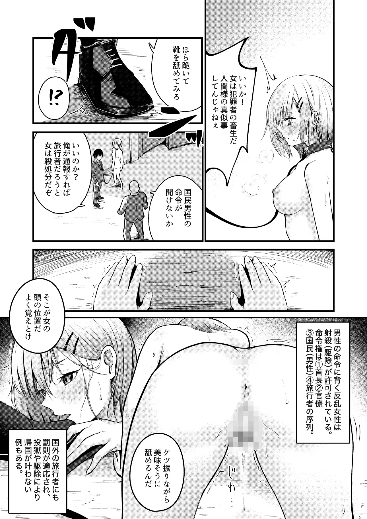 [mokataki_works]女性の権利が失われた国