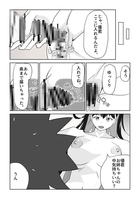 [未来なき者]お姉ちゃんの性教育2