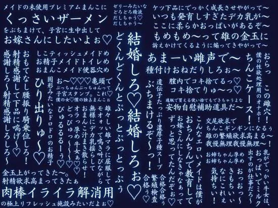 [タンドリーチキン]【淫語・嘘オホ・オス心情アテレコ】クールな幼馴染メイドと毎晩両思い中出しエッチ・バイノーラル