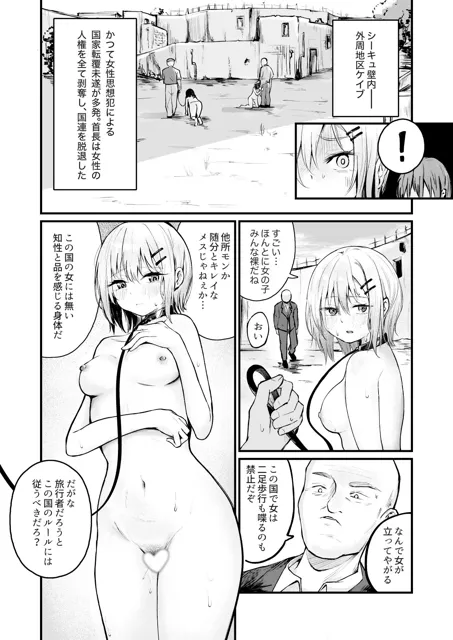 [mokataki_works]女性の権利が失われた国