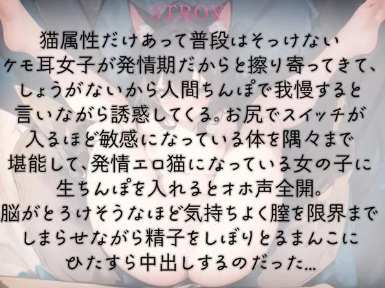 [rino]【95%OFF】発情ケモ耳女子は獣のようにオホ声中出し