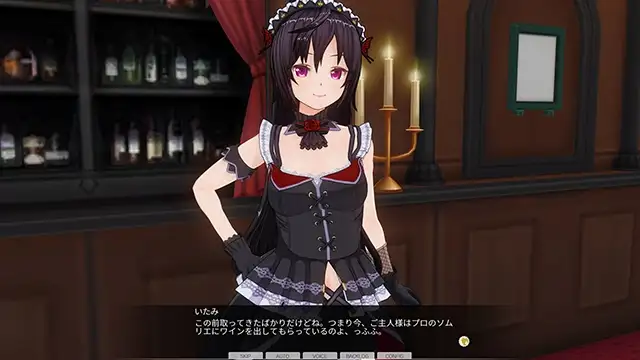 [Kiss]【期間限定】カスタムオーダーメイド3D2&2.5 GP対応性格パック3