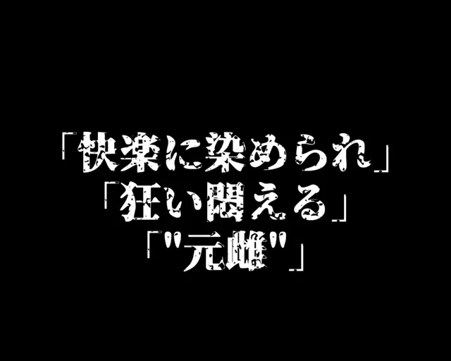 [ガーネット]【50%OFF】拘束シリーズ4「戦うヒロイン洗脳調教〜闇堕ち1歩手前〜」