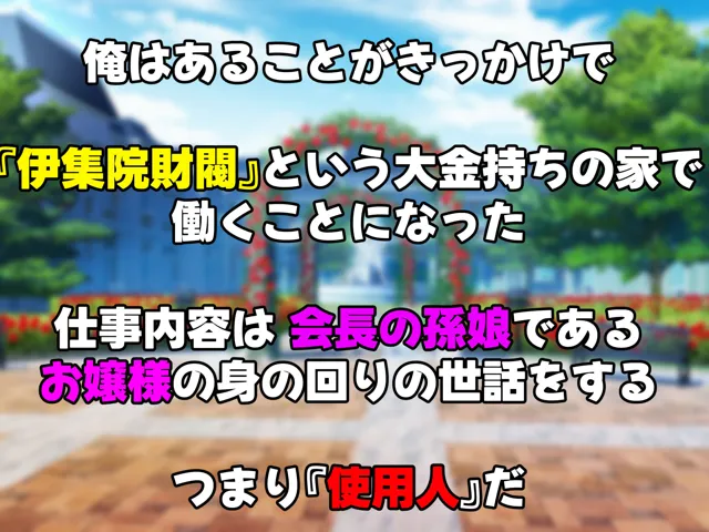 [なのはなジャム]アイドル級に可愛い世間知らずの箱入り娘と周囲に内緒でいちゃらぶ関係になり毎日毎晩ヤリまくる話