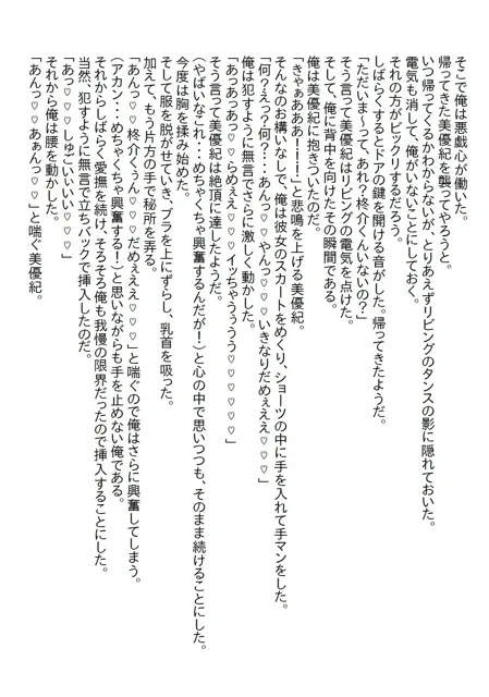 [さのぞう]【お気楽小説】実は両片思いだったちょっとエッチな義妹と数年二人生活していたが、二十歳の誕生日を機に処女をいただきました