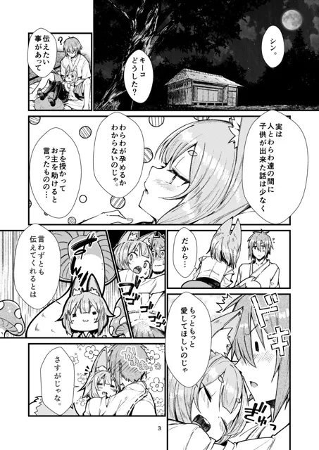 [ノアの方舟]きつねの嫁入り（2）