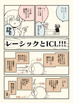 [さくら研究室]ICLをした話。