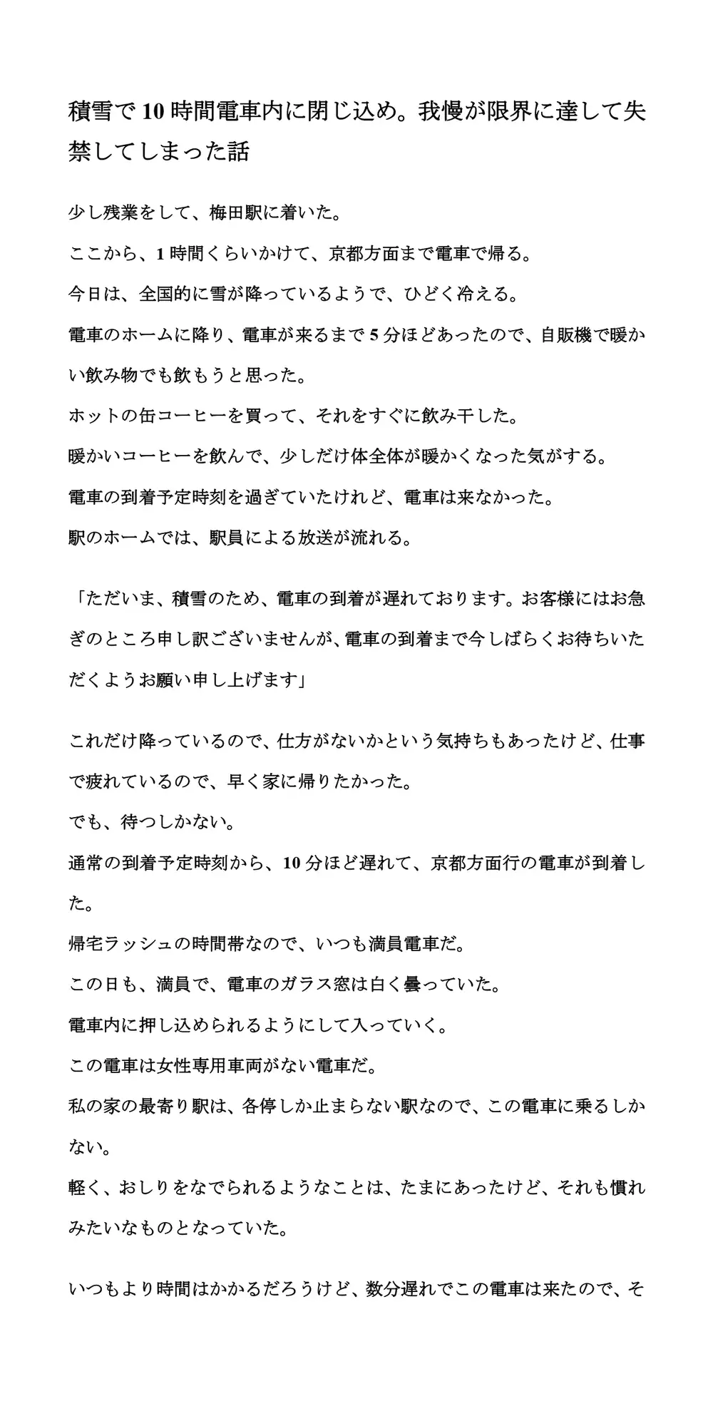 [CMNFリアリズム]積雪で10時間電車内に閉じ込め。我慢が限界に達して失禁してしまった話