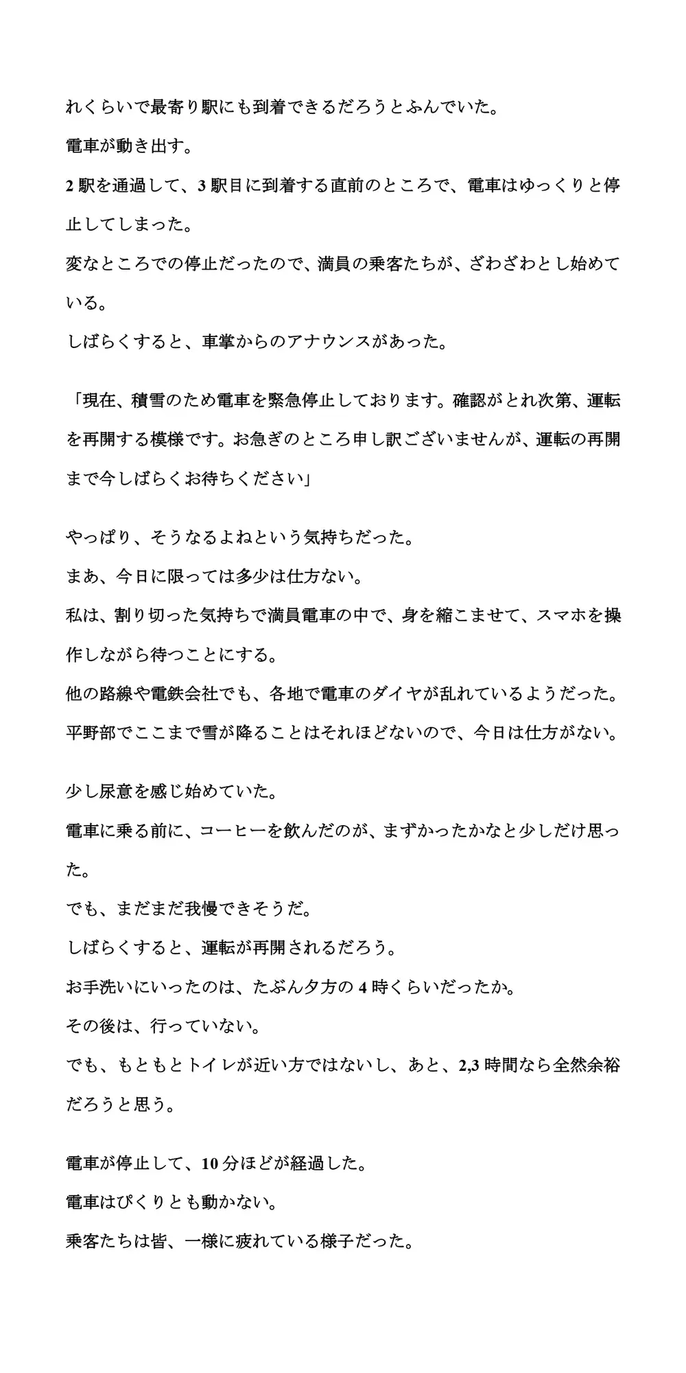 [CMNFリアリズム]積雪で10時間電車内に閉じ込め。我慢が限界に達して失禁してしまった話