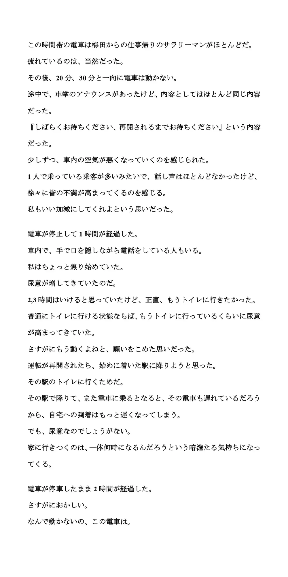 [CMNFリアリズム]積雪で10時間電車内に閉じ込め。我慢が限界に達して失禁してしまった話