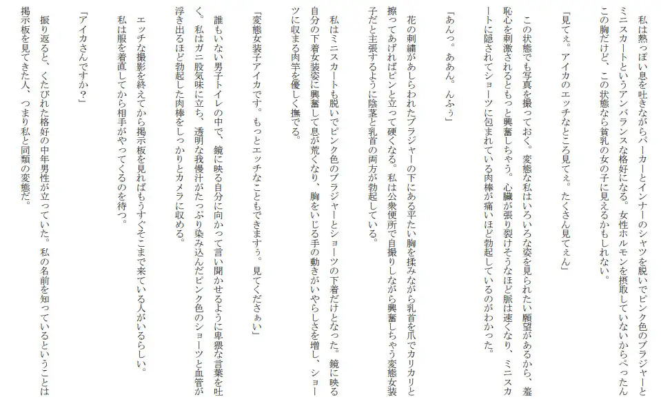 [セミリタイアを目指す小説家志望ミスミケイ]肉便器女装子 本当にあったエッチな体験談 実話猥談