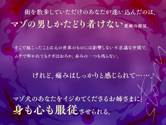 [全日本シチュエーションボイス]【CV.佐々木サキ】マゾ犬転送♪異世界SM部屋でお姉さまに優しく厳しくイジめていただく70分【全日本シチュエーションボイス】