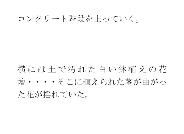 [逢瀬のひび]鉄の屋根の小屋・・・長いコンクリート階段を上り終えたあと現実の街へ